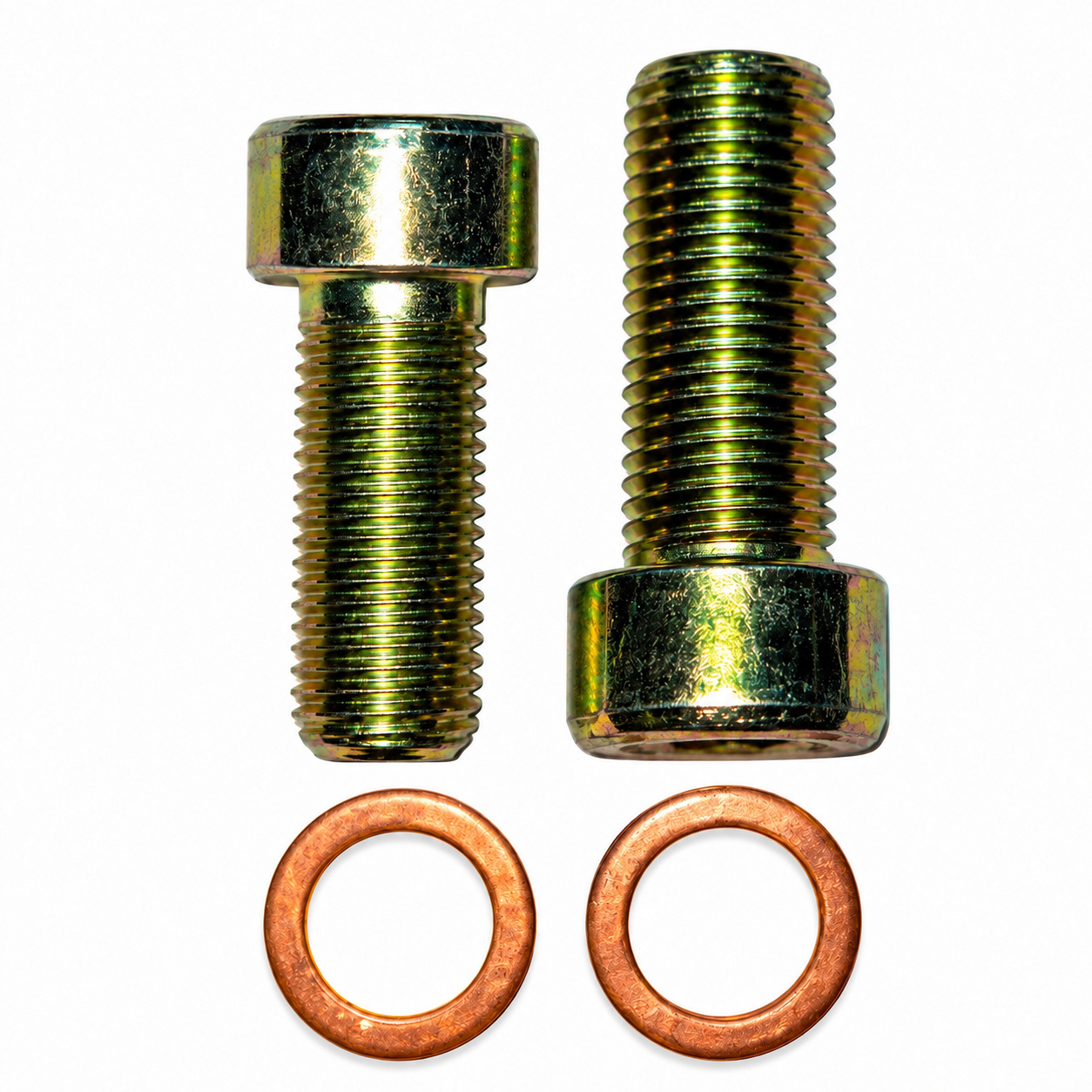 Fork Pump Allen Bolt Pair for Yamaha RX100 / RX135