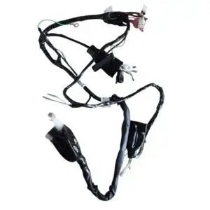Wiring Harness for Hero Karizma | Electric Start 2003 Model