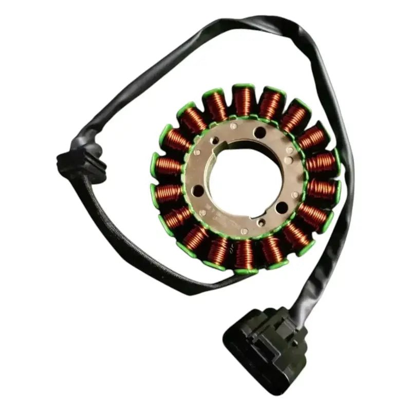 Benelli TNT 300 / 302R Magnet Coil Assembly
