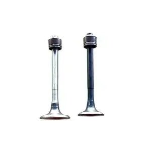 Engine Valve Set for Bajaj Pulsar 200 UG3 | 2 Valves with seal